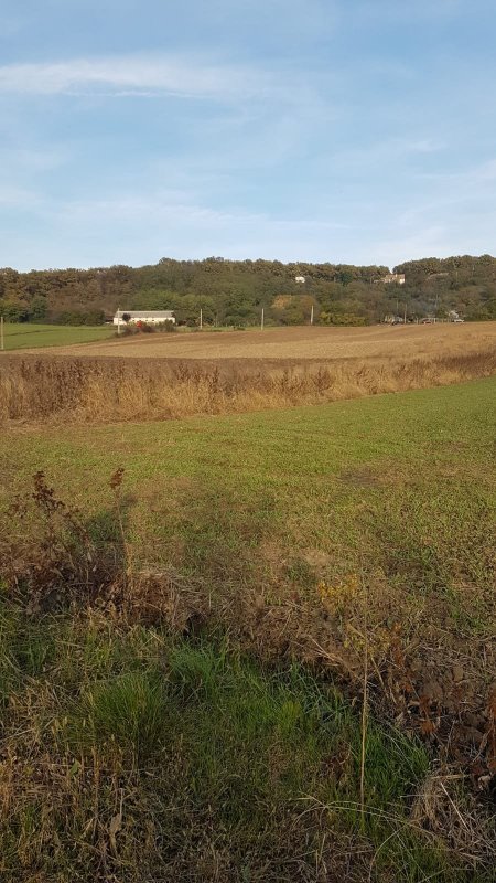 Teren intravilan 1 ha la E81