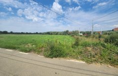 Teren intravilan Criseni