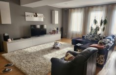 Casa la cheie cu 14 ari teren