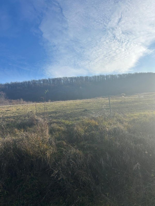 teren intravilan 1 ha  in oras