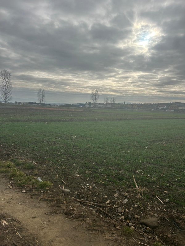 Teren intravilan  6 ari
