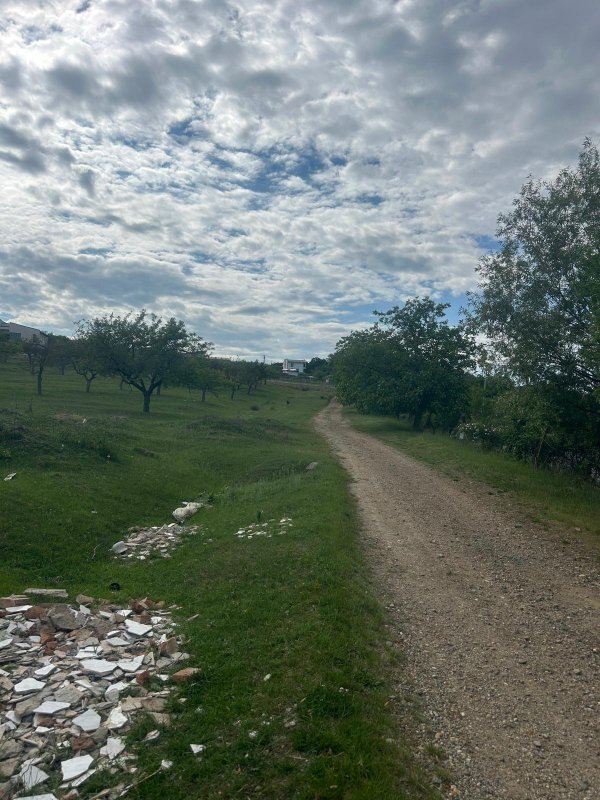1, 40  ha  iin Zalau